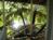 Casa Grande Mountain Retreat::TripAdvisor