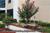 Holiday Inn Express Ft Payne::Orbitz