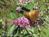 Bed and Breakfast at Taylor's Corner::BedAndBreakfast.com