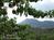 Flying Eagle Country B & B::BedAndBreakfast.com