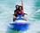 Deauville Beach Resort Miami Beach::Orbitz