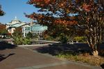 Brooklyn Botanic Garden (The)