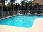 Tn-018686_pool_01_f