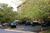 Comfort Inn at Shady Grove::Hotels.com