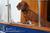 La Bella Vita... a boat and breakfast on the Bay::BedAndBreakfast.com