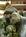 Embassy Suites Anaheim - South::Expedia