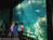 Sea World San Antonio::ThemeParksOnline