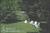 Maine Stay Inn & Cottages::BedAndBreakfast.com