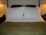 Mayflower Park Hotel