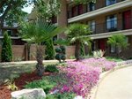 Americas Best Value Inn