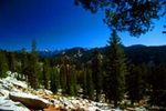 Tn-recid_4859_1