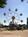 Sandy Lake Amusement Park::ThemeParksOnline