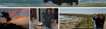 Arroyo Laguna Beach::D.Stock