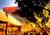 Hilton North Raleigh::ProfessionalTravelGuide.com
