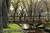 Holiday Inn Mount Kisco::Yahoo! Travel