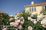Tn-paso-robles-ca-bellacollinaanexceptionalbedbreakfast