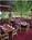 Red Lion River Inn::Orbitz