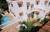 At Wind Chimes Inn::PinkChoice
