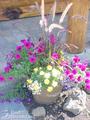 Cabin Creek Bed and Breakfast
