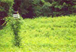 Audubon Naturalist Society/Woodend::Yahoo! Travel