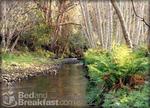 Howard Creek Ranch