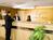 Aspen Hotel And Suites::Hotels.com
