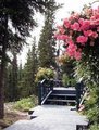 Castle Alaska