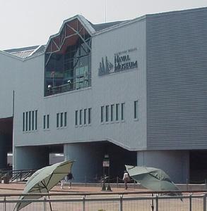 Hampton Roads Naval Museum::Virginia.org