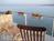 Blue Moon Beach House::BedAndBreakfast.com