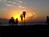 Best Western Dana Point Inn-by-the-Sea::Orbitz