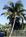 Fairfield Inn and Suites by Marriott Jupiter::ProfessionalTravelGuide.com