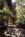Woodlands Inn & Resort (The)::ProfessionalTravelGuide.com