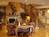 Country Inn & Suites By Carlson, Nashville E, TN::Orbitz