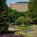 Renaissance Waverly Hotel::ProfessionalTravelGuide.com