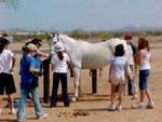 Arizona Horse Lovers Park::KaBoom.org