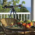 Hyatt Winward Pointe