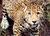 Sacramento Zoo from Saczoo