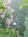 Bent Creek Lodge Bed & Breakfast::BedAndBreakfast.com