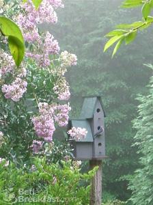 Bent Creek Lodge Bed & Breakfast::BedAndBreakfast.com