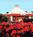 Cape Codder Resort and Spa::Yahoo! Travel