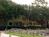 Sea Pines Resort::Expedia