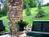 The Lodge on Apple Pie Ridge::BedAndBreakfast.com