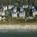 ResortQuest Rentals at Palmetto Dunes::Travelocity.com