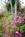 The Belle of the Bends::BedAndBreakfast.com