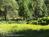 Yosemite Springs BB::BedAndBreakfast.com