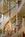 The Beaufort Inn::BedAndBreakfast.com