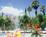 Palm Court Inn::Priceline.com