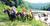 Best Western Glenville Inn::Orbitz