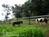 Rainbow Plantation Bed and Breakfast::BedAndBreakfast.com
