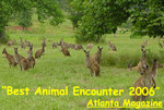 Kangaroo Conservation Center